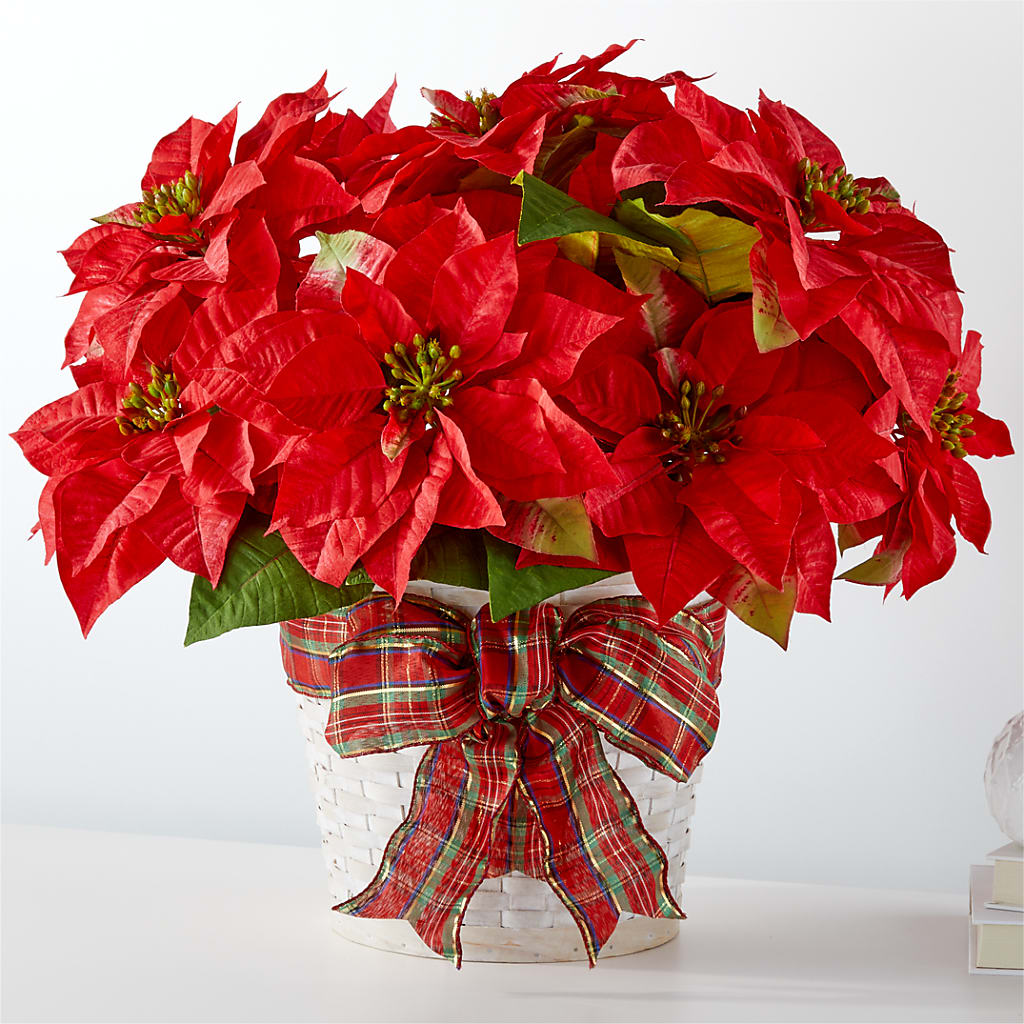 Happiest Holidays Poinsettia – Olson Florist, Salem OR