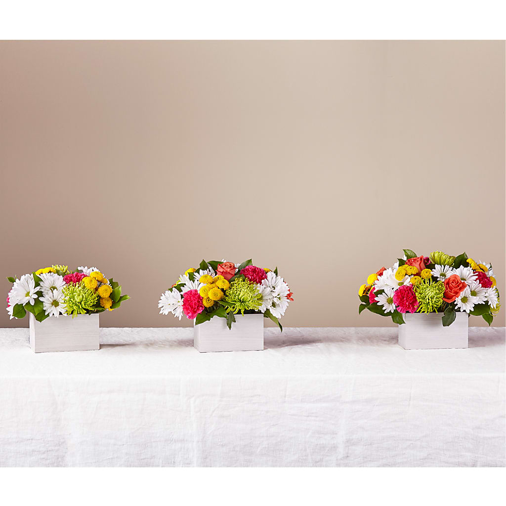 Sorbet Bouquet – Olson Florist, Salem OR