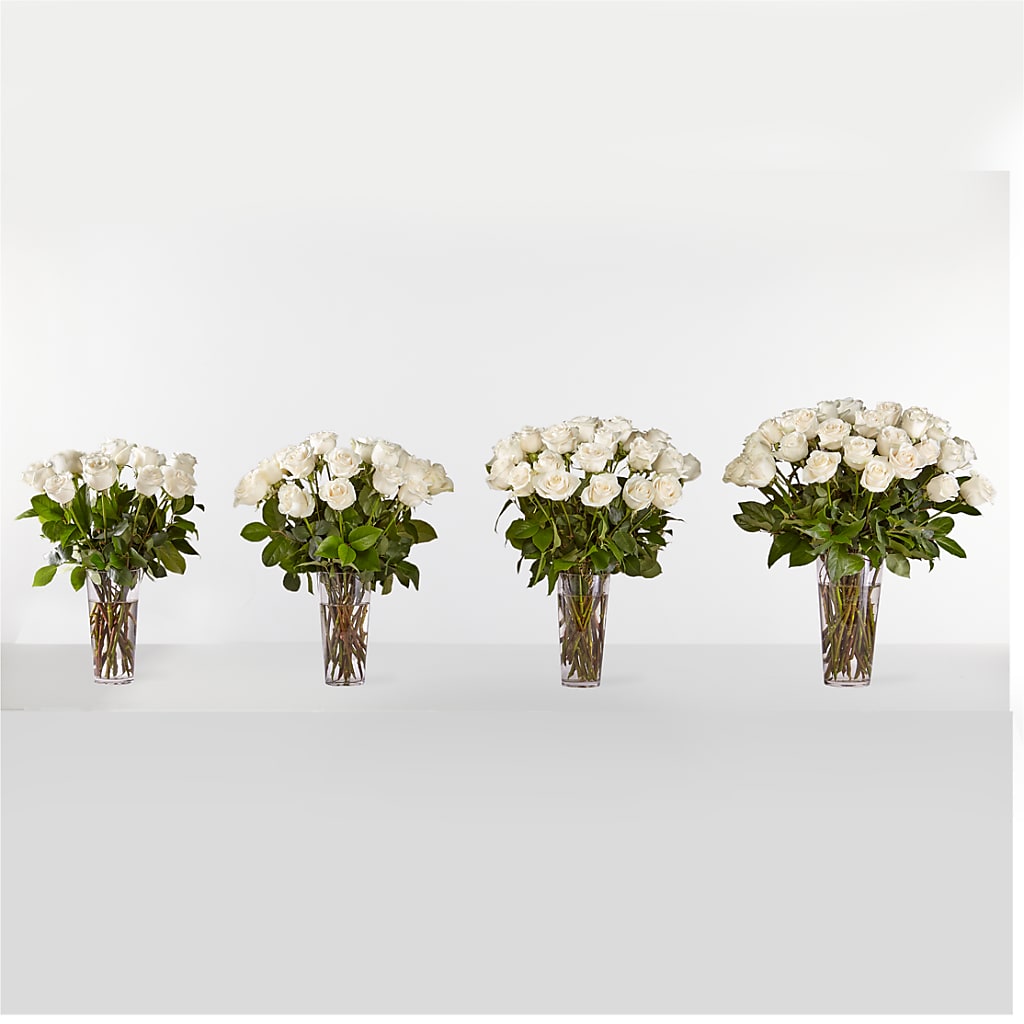 Long Stem White Rose Bouquet – Olson Florist, Salem OR