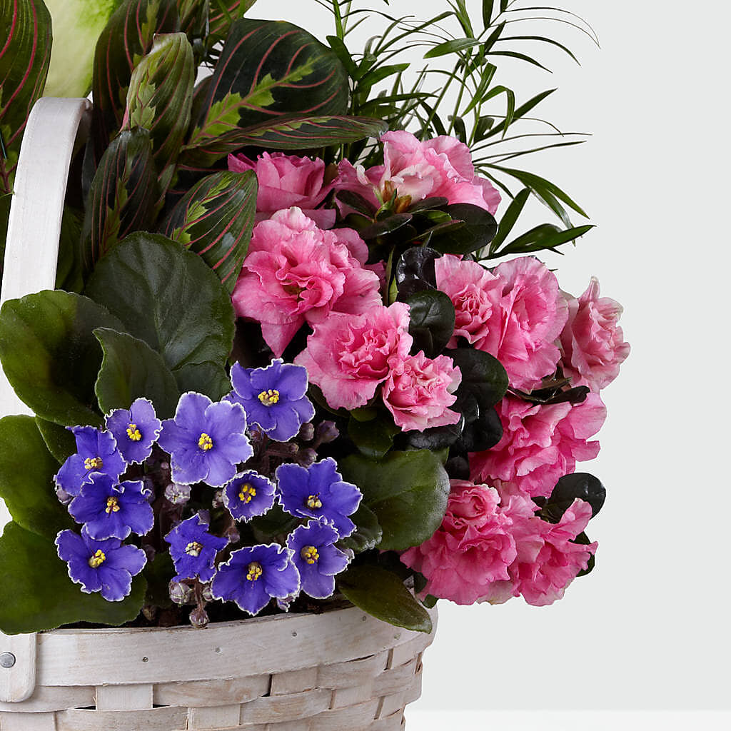 Peaceful Garden Planter – Olson Florist, Salem OR