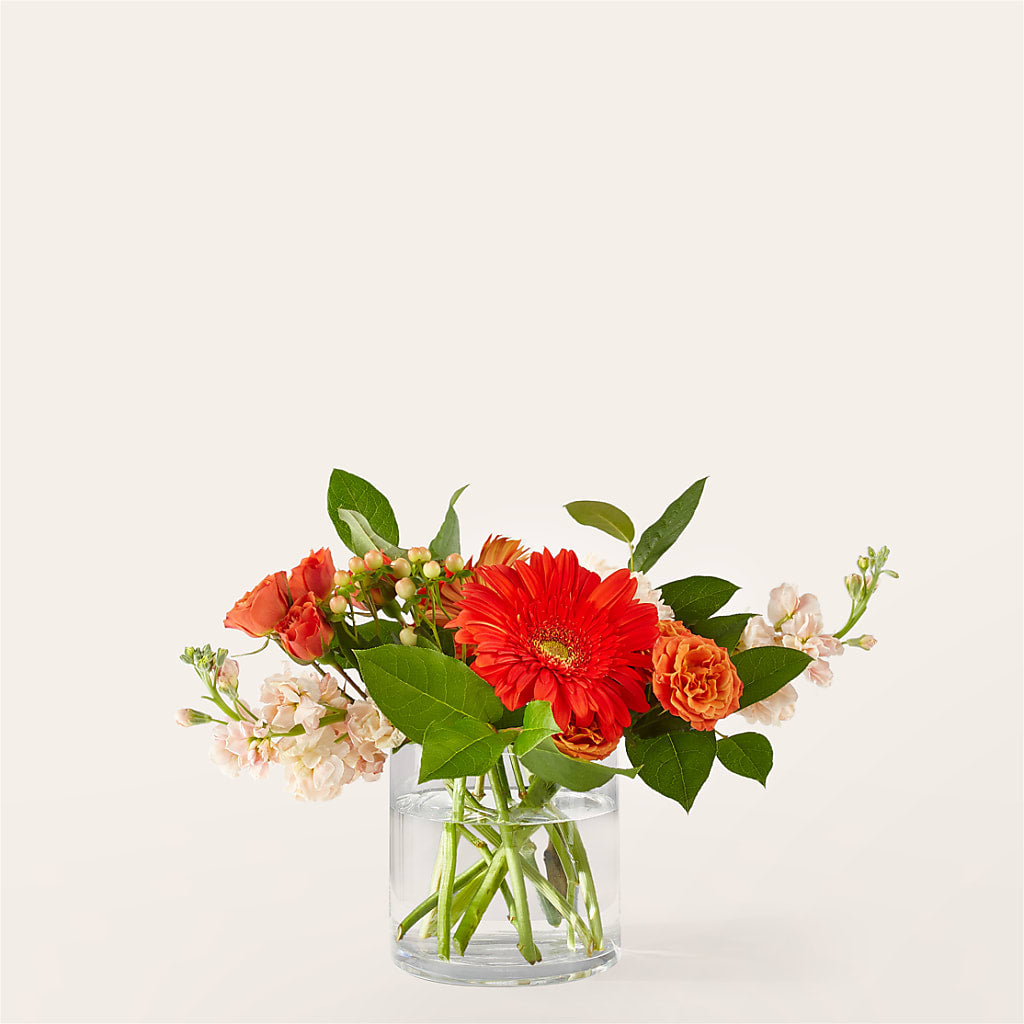 Paloma Please Bouquet – Olson Florist, Salem OR