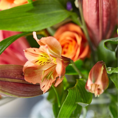 Bold & Bright – A Florist Original –  Olson Florist, Salem OR