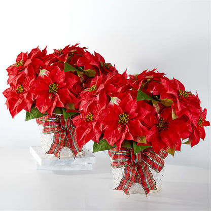 Happiest Holidays Poinsettia Bundle –  Olson Florist, Salem OR