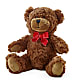 Adorable Plush Bear –  Olson Florist, Salem OR