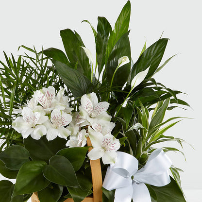 Peace & Serenity Dishgarden –  Olson Florist, Salem OR