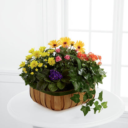 Gentle Blossoms Basket –  Olson Florist, Salem OR