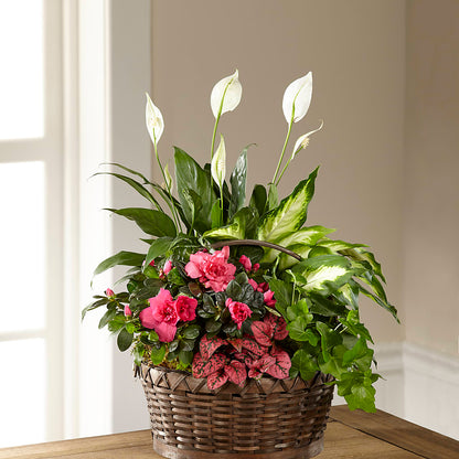 Dream in Pink Dishgarden –  Olson Florist, Salem OR