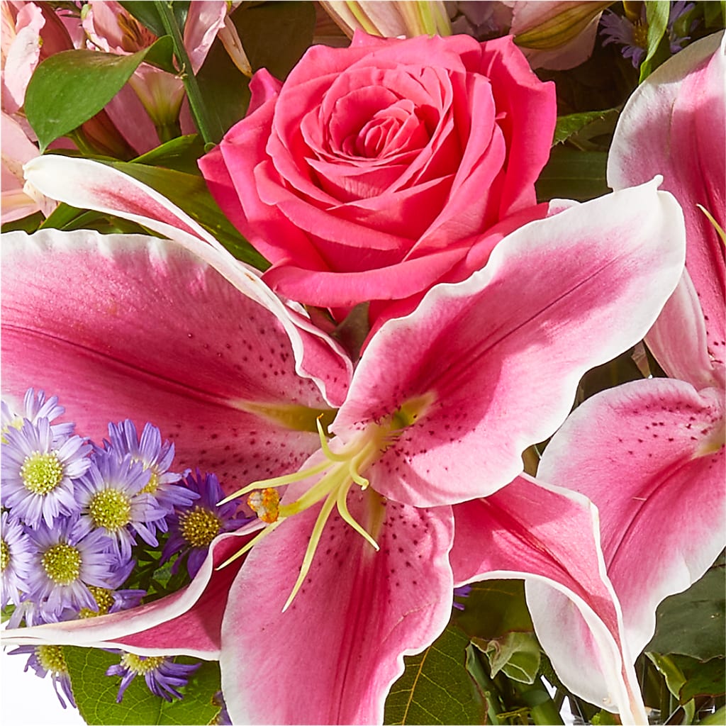 Written in the Stars Bouquet –  Olson Florist, Salem OR