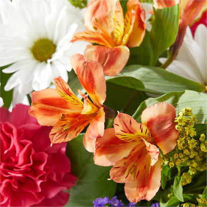 Oopsie Daisy Box Bouquet –  Olson Florist, Salem OR