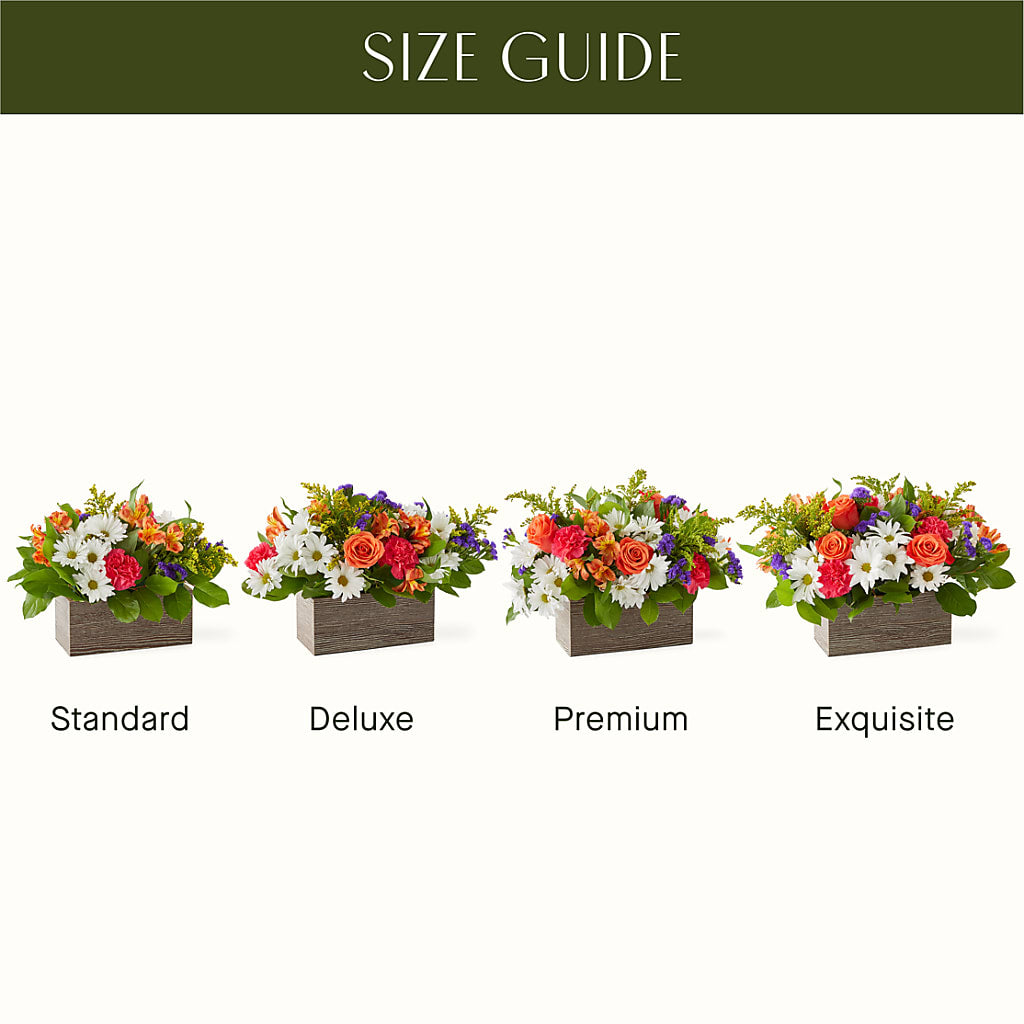Oopsie Daisy Box Bouquet –  Olson Florist, Salem OR