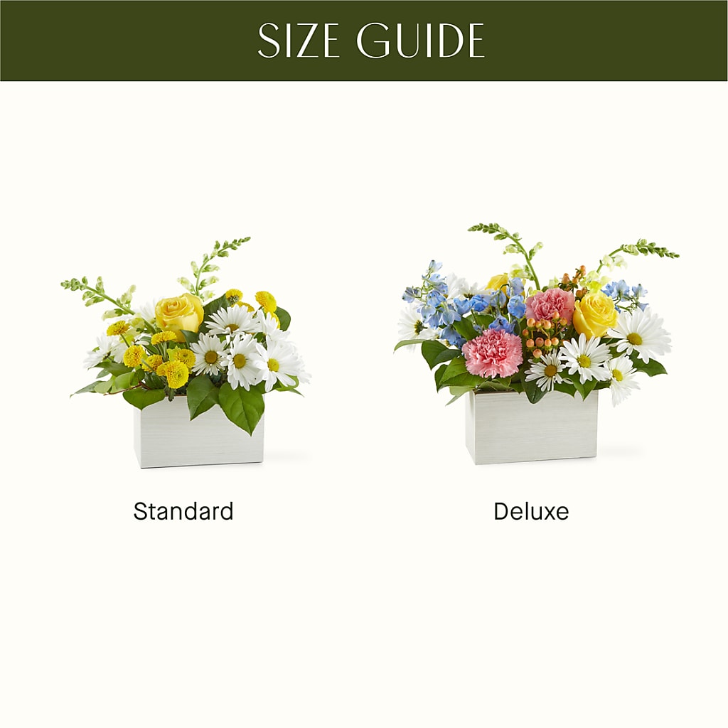 Sun Salutation Box Bouquet –  Olson Florist, Salem OR