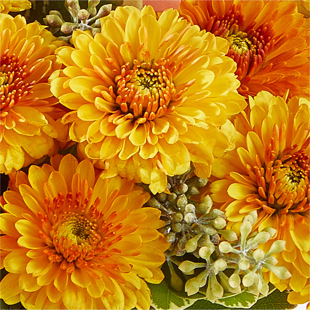 Peachy Pumpkin –  Olson Florist, Salem OR