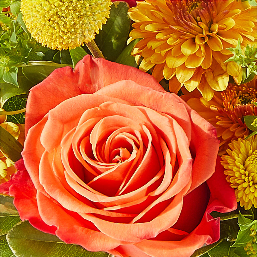 Gourdgeous Pumpkin –  Olson Florist, Salem OR