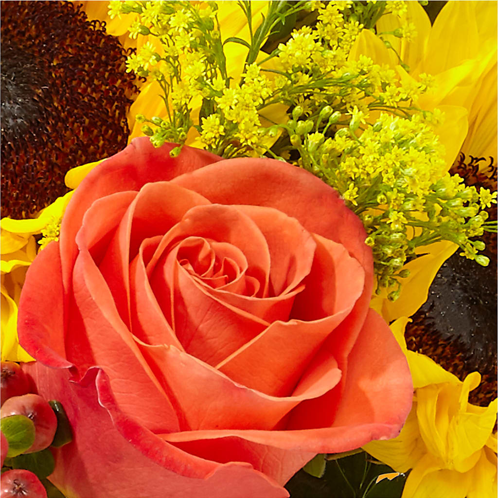 Pick of the Patch Pumpkin Bouquet –  Olson Florist, Salem OR