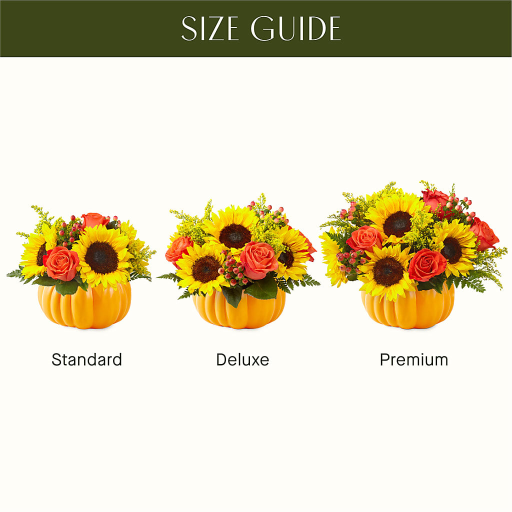Pick of the Patch Pumpkin Bouquet –  Olson Florist, Salem OR