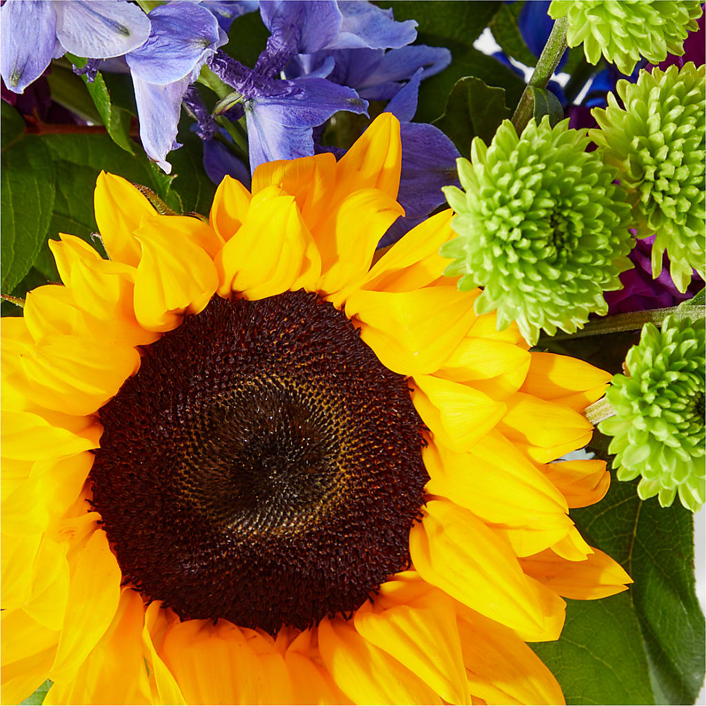 Catching Rays Bouquet –  Olson Florist, Salem OR