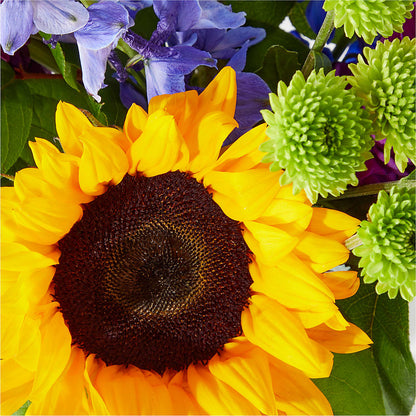 Catching Rays Bouquet –  Olson Florist, Salem OR