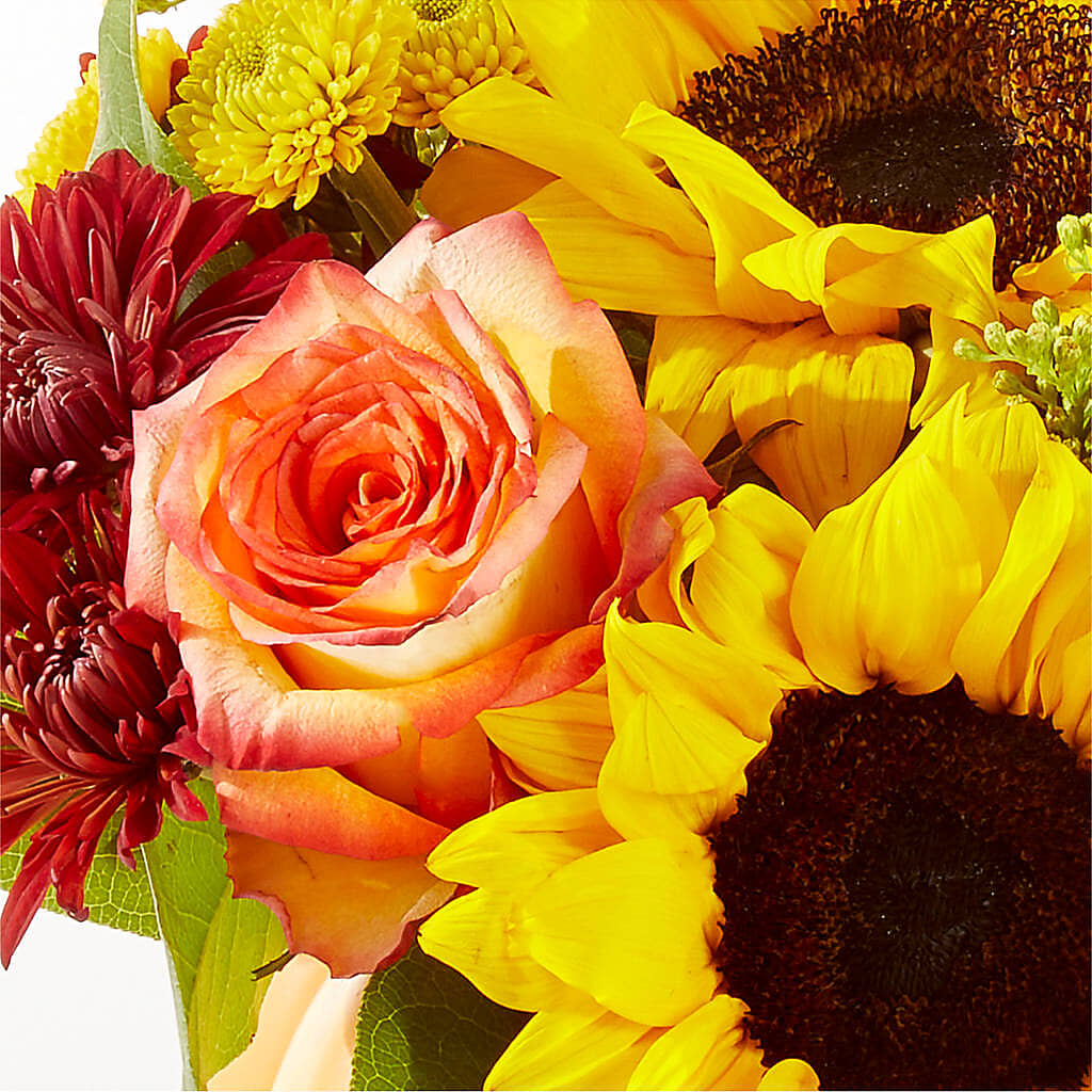 Golden Gourd Pumpkin Bouquet –  Olson Florist, Salem OR