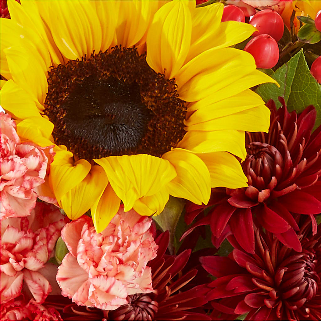 Fresh Cider Bouquet –  Olson Florist, Salem OR