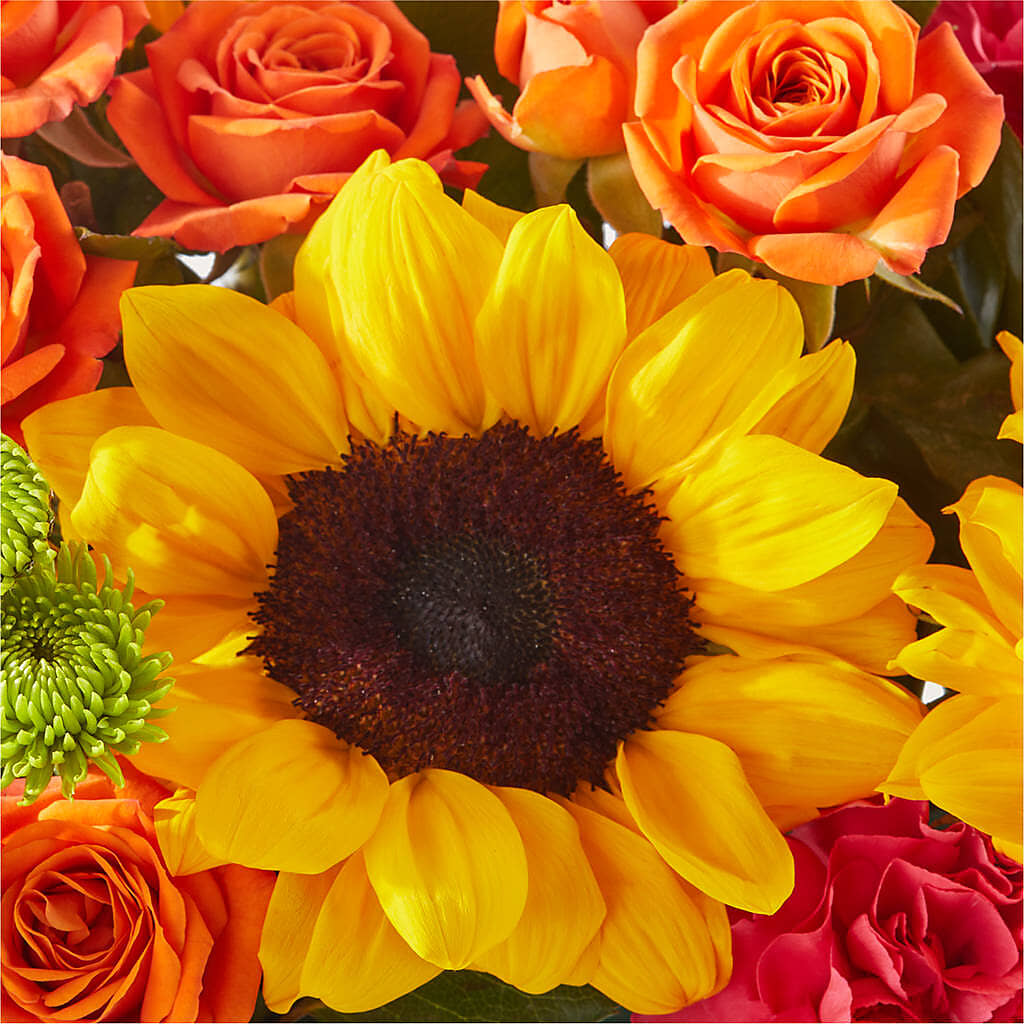 Sun-drenched Blooms Box Bouquet –  Olson Florist, Salem OR