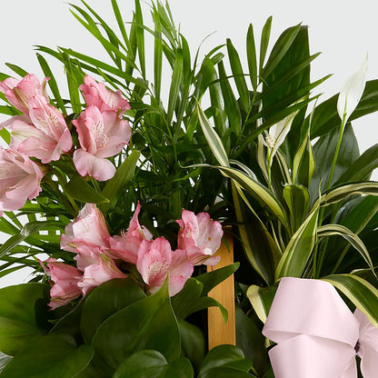 Living Spirit Dishgarden –  Olson Florist, Salem OR