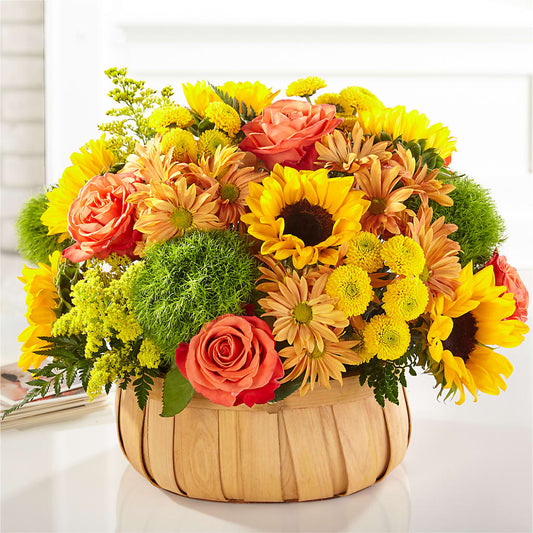 Harvest Sunflower Basket –  Olson Florist, Salem OR