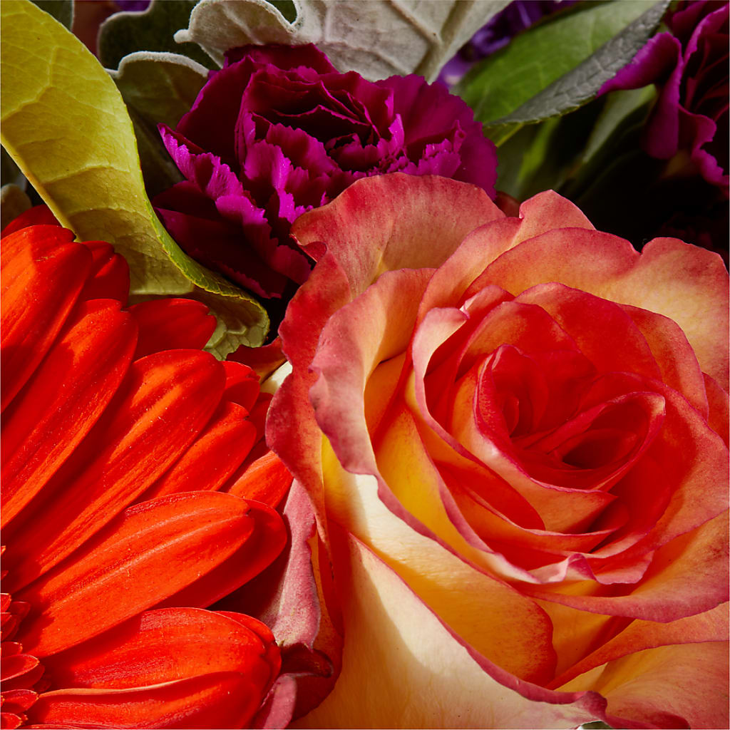 Sangria Bouquet –  Olson Florist, Salem OR