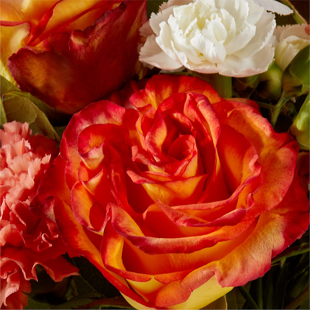 Apricot Glow Bouquet –  Olson Florist, Salem OR