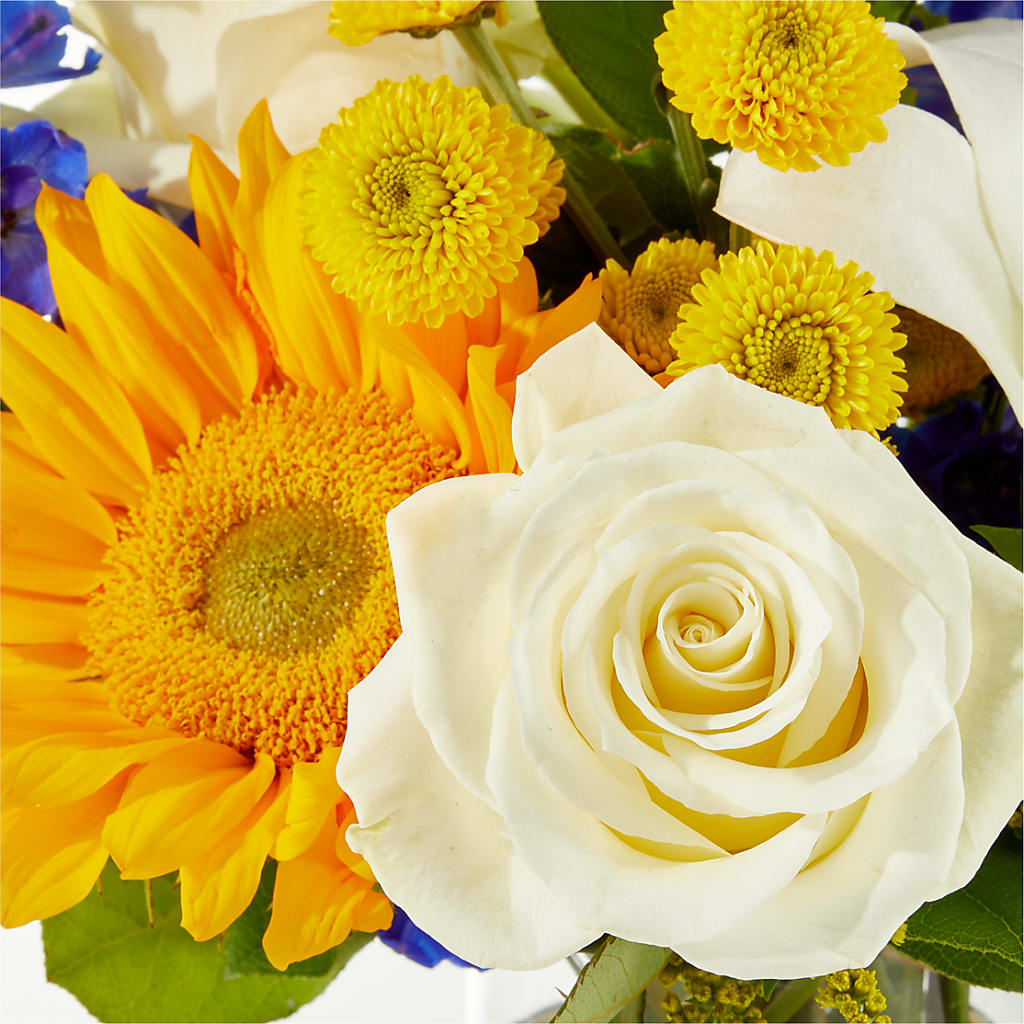 Stargazing Bouquet –  Olson Florist, Salem OR