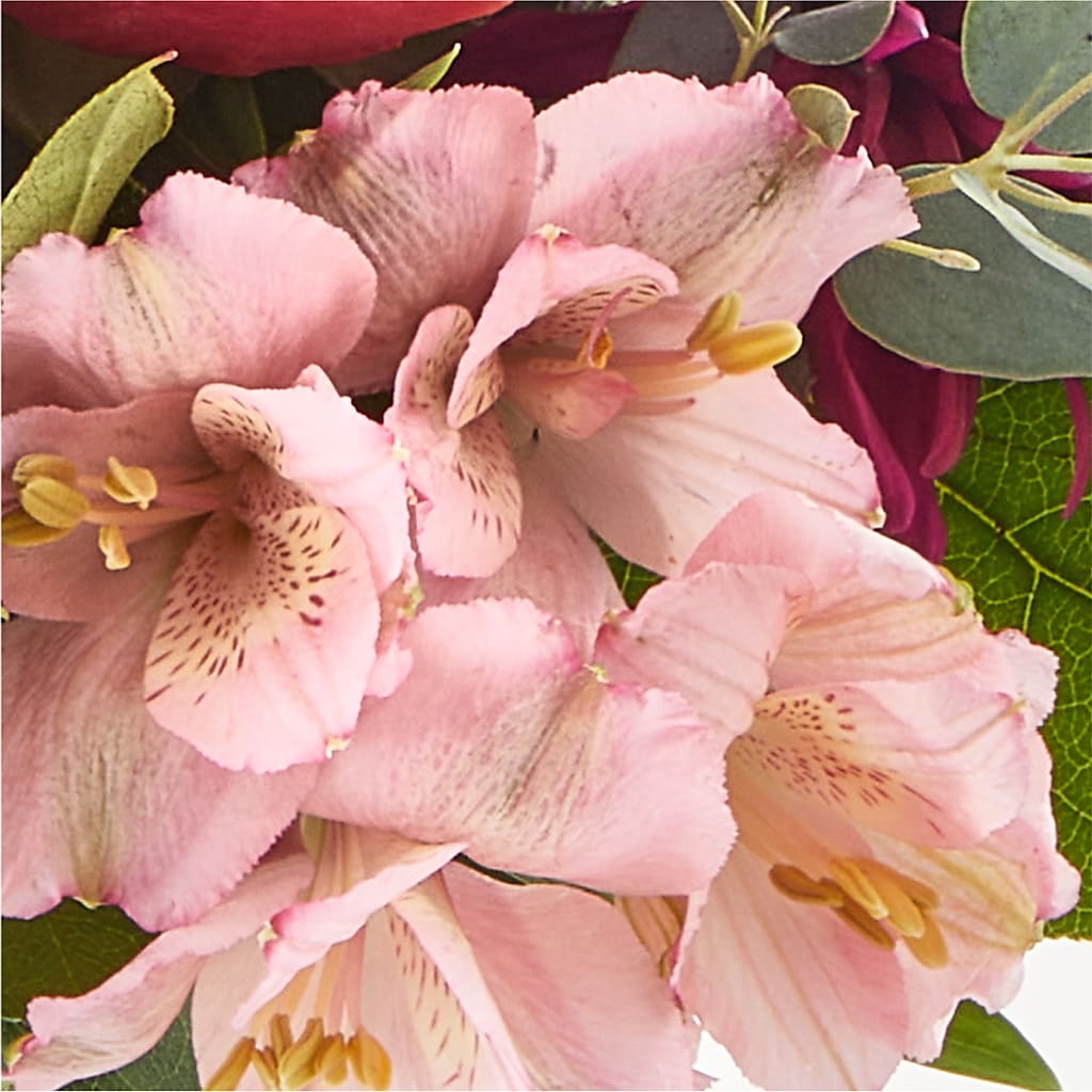 Berry Cobbler Bouquet –  Olson Florist, Salem OR