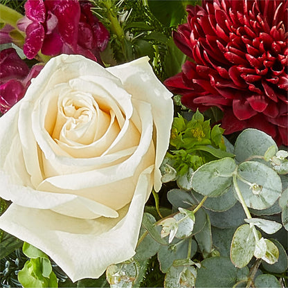 Cranberry Fizz Bouquet –  Olson Florist, Salem OR