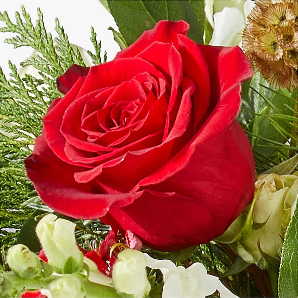 Deck the Halls Bouquet –  Olson Florist, Salem OR