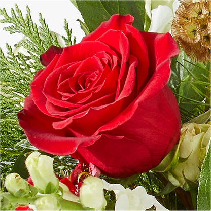 Deck the Halls Bouquet –  Olson Florist, Salem OR