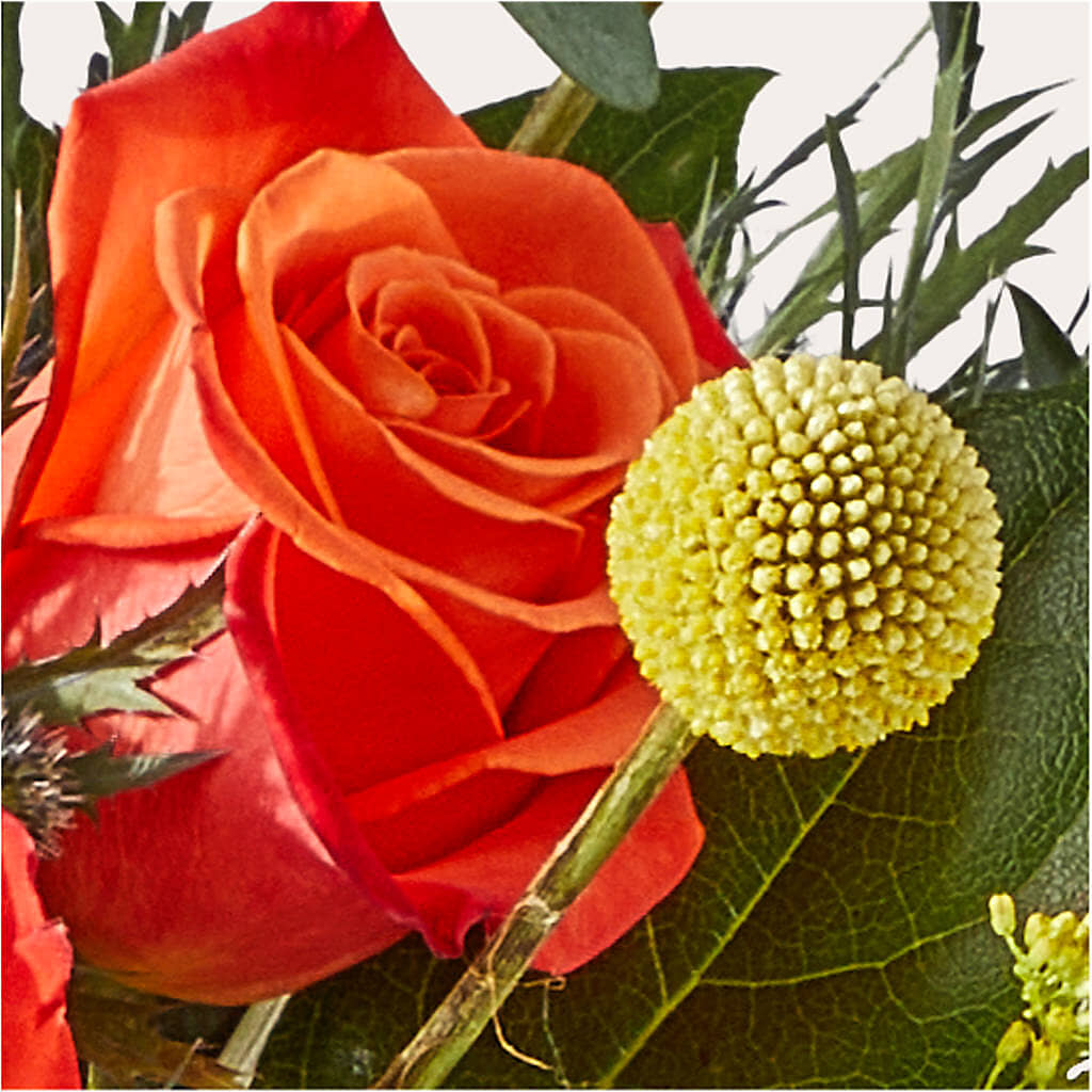 Disco Bouquet –  Olson Florist, Salem OR