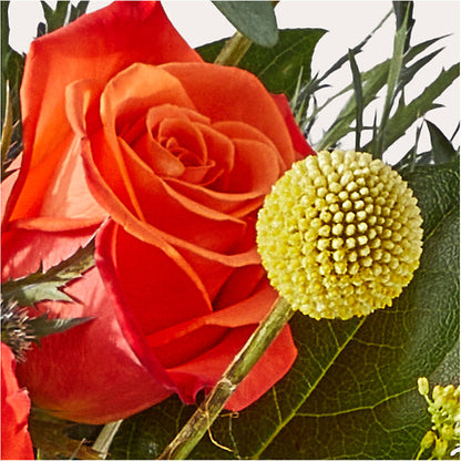 Disco Bouquet –  Olson Florist, Salem OR