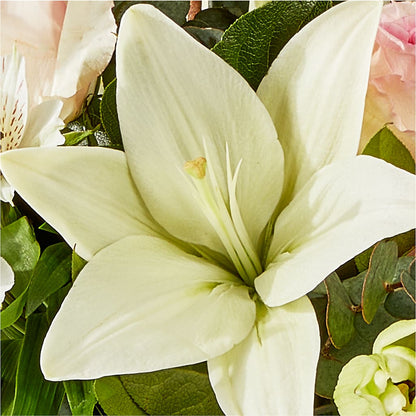 Ballet Slippers Bouquet –  Olson Florist, Salem OR
