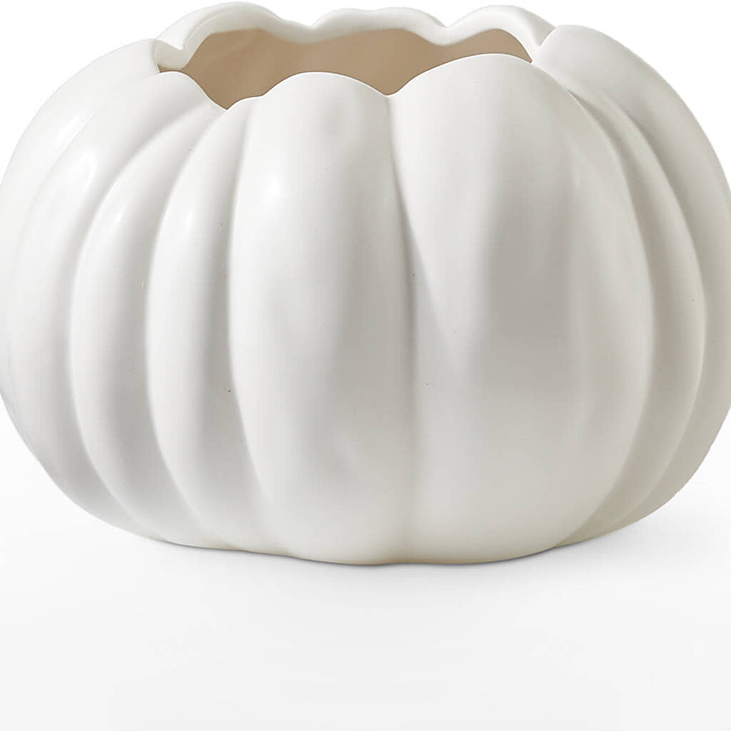 Autumn Air Pumpkin Bouquet –  Olson Florist, Salem OR